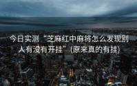 今日实测“芝麻红中麻将怎么发现别人有没有开挂”(原来真的有挂)