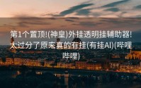 第1个置顶!(神皇)外挂透明挂辅助器!太过分了原来真的有挂(有挂Al)(哔哩哔哩)