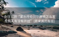 今日实测“蒙乐呼伦贝尔麻将怎么发现别人有没有开挂”(原来真的有挂)