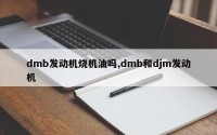 dmb发动机烧机油吗,dmb和djm发动机