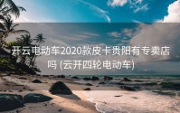 开云电动车2020款皮卡贵阳有专卖店吗 (云开四轮电动车)