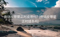 传动皮带是正时皮带吗? (传动皮带是正时链条吗)