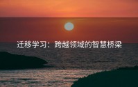 迁移学习：跨越领域的智慧桥梁