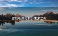 智能视频分析：未来之眼