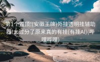 第1个置顶!(安徽王牌)外挂透明挂辅助器!太过分了原来真的有挂(有挂Al)(哔哩哔哩)