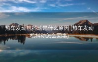 热车发动机抖动是什么原因 (热车发动机抖动怎么回事)