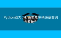 Python助力：打造智能车辆违章查询系统