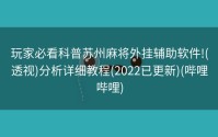 玩家必看科普苏州麻将外挂辅助软件!(透视)分析详细教程(2022已更新)(哔哩哔哩)