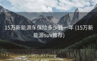 15万新能源车保险多少钱一年 (15万新能源suv推荐)