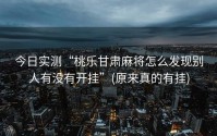 今日实测“桃乐甘肃麻将怎么发现别人有没有开挂”(原来真的有挂)