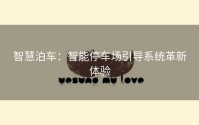 智慧泊车：智能停车场引导系统革新体验