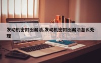 发动机密封圈漏油,发动机密封圈漏油怎么处理