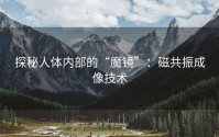 探秘人体内部的“魔镜”：磁共振成像技术