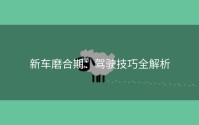 新车磨合期：驾驶技巧全解析