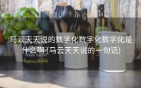 马云天天说的数字化数字化数字化是什么啊 (马云天天说的一句话)