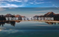 智慧绿肺：智能城市环境监测网络