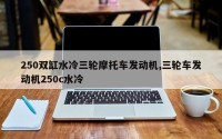 250双缸水冷三轮摩托车发动机,三轮车发动机250c水冷