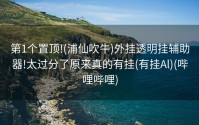 第1个置顶!(浦仙吹牛)外挂透明挂辅助器!太过分了原来真的有挂(有挂Al)(哔哩哔哩)