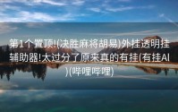 第1个置顶!(决胜麻将胡易)外挂透明挂辅助器!太过分了原来真的有挂(有挂Al)(哔哩哔哩)