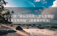 今日实测“爱玩信阳黑七怎么发现别人有没有开挂”(原来真的有挂)