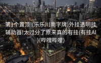 第1个置顶!(乐乐川南字牌)外挂透明挂辅助器!太过分了原来真的有挂(有挂Al)(哔哩哔哩)