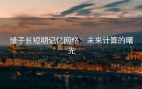 量子长短期记忆网络：未来计算的曙光