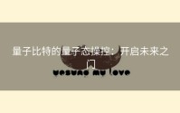 量子比特的量子态操控：开启未来之门