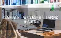 轮胎排名前十名 (轮胎排名前十名都是什么品牌)