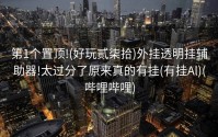 第1个置顶!(好玩贰柒拾)外挂透明挂辅助器!太过分了原来真的有挂(有挂Al)(哔哩哔哩)