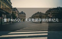 量子NoSQL：未来数据存储的新纪元