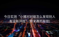 今日实测“小猪对对碰怎么发现别人有没有开挂”(原来真的有挂)
