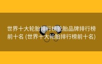 世界十大轮胎排行榜轮胎品牌排行榜前十名 (世界十大轮胎排行榜前十名)