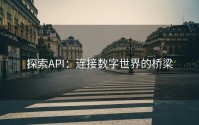 探索API：连接数字世界的桥梁