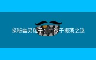 探秘幽灵粒子：中微子振荡之谜