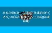 玩家必看科普山东棋牌外挂辅助软件!(透视)分析详细教程(2022已更新)(哔哩哔哩)