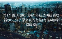 第1个置顶!(微乐够级)外挂透明挂辅助器!太过分了原来真的有挂(有挂Al)(哔哩哔哩)