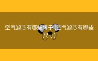 空气滤芯有哪些牌子 (空气滤芯有哪些尺寸)