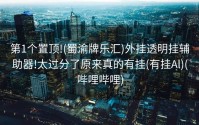 第1个置顶!(蜀渝牌乐汇)外挂透明挂辅助器!太过分了原来真的有挂(有挂Al)(哔哩哔哩)