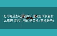 有的是蓝标还有黑标 这分别代表着什么意思 雪弗兰有的是黄标 (蓝标是啥)