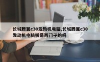长城腾翼c30发动机电脑,长城腾翼c30发动机电脑板是西门子的吗