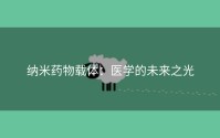 纳米药物载体：医学的未来之光