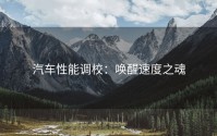 汽车性能调校：唤醒速度之魂