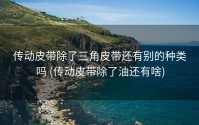 传动皮带除了三角皮带还有别的种类吗 (传动皮带除了油还有啥)
