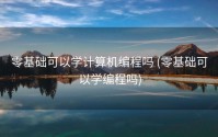 零基础可以学计算机编程吗 (零基础可以学编程吗)