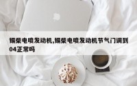 锡柴电喷发动机,锡柴电喷发动机节气门调到04正常吗
