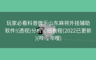 玩家必看科普微乐山东麻将外挂辅助软件!(透视)分析详细教程(2022已更新)(哔哩哔哩)