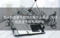发动机怠速不稳熄火是什么原因 (发动机怠速不稳忽高忽低)