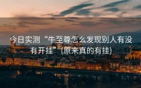 今日实测“牛至尊怎么发现别人有没有开挂”(原来真的有挂)