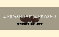 车上面的各种指示灯 (车上面的各种指示)