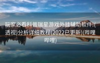玩家必看科普瑞星游戏外挂辅助软件!(透视)分析详细教程(2022已更新)(哔哩哔哩)